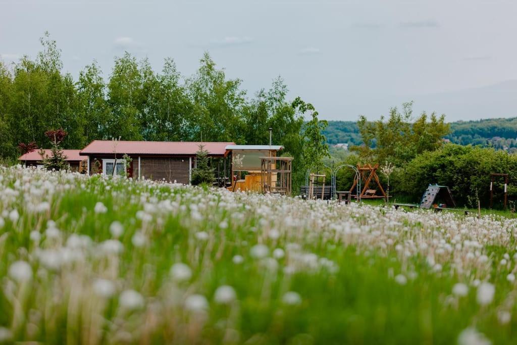 Domki Na Gorniej Lace - Domek Slowik Lazany Экстерьер фото