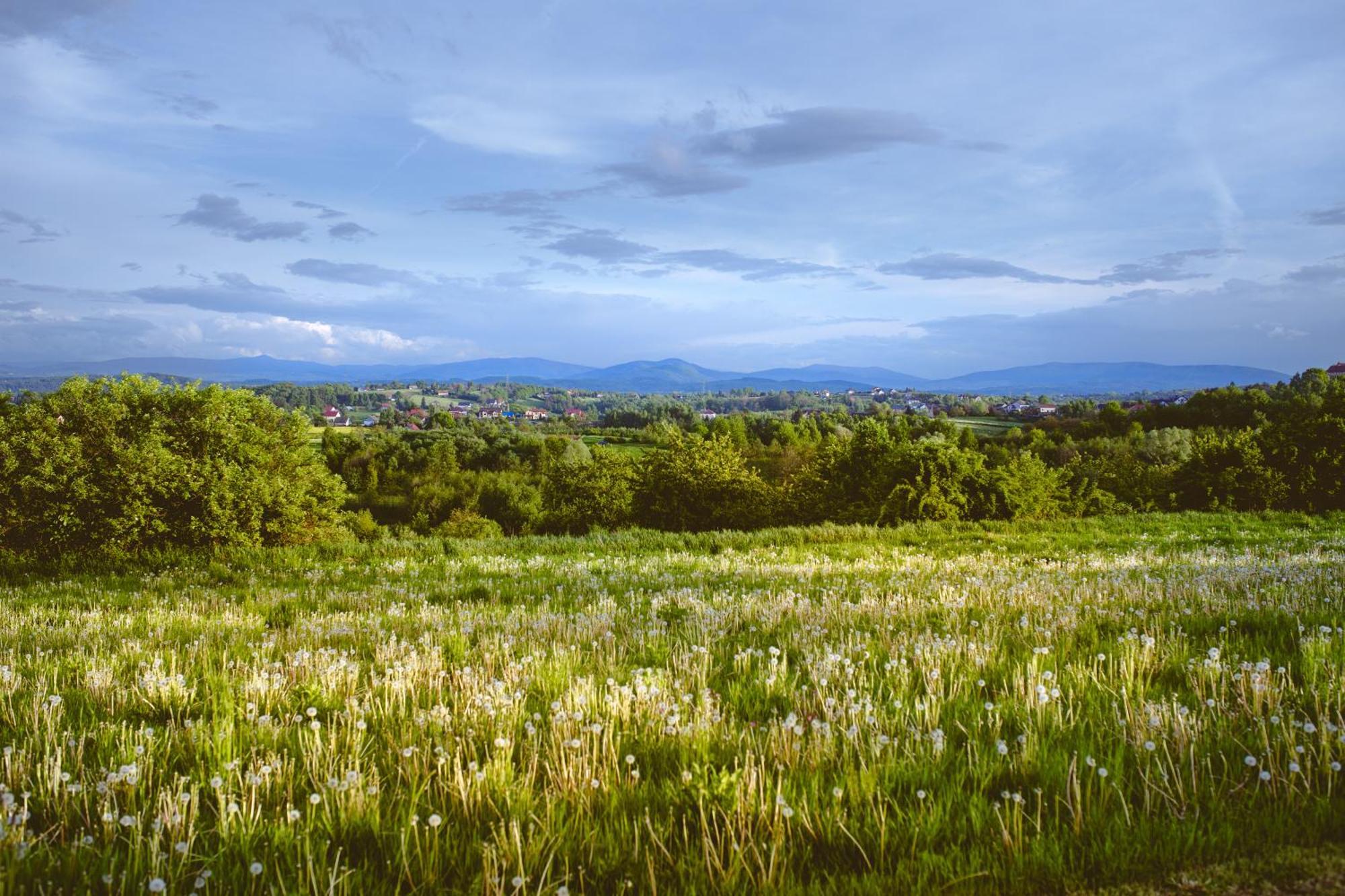 Domki Na Gorniej Lace - Domek Slowik Lazany Экстерьер фото