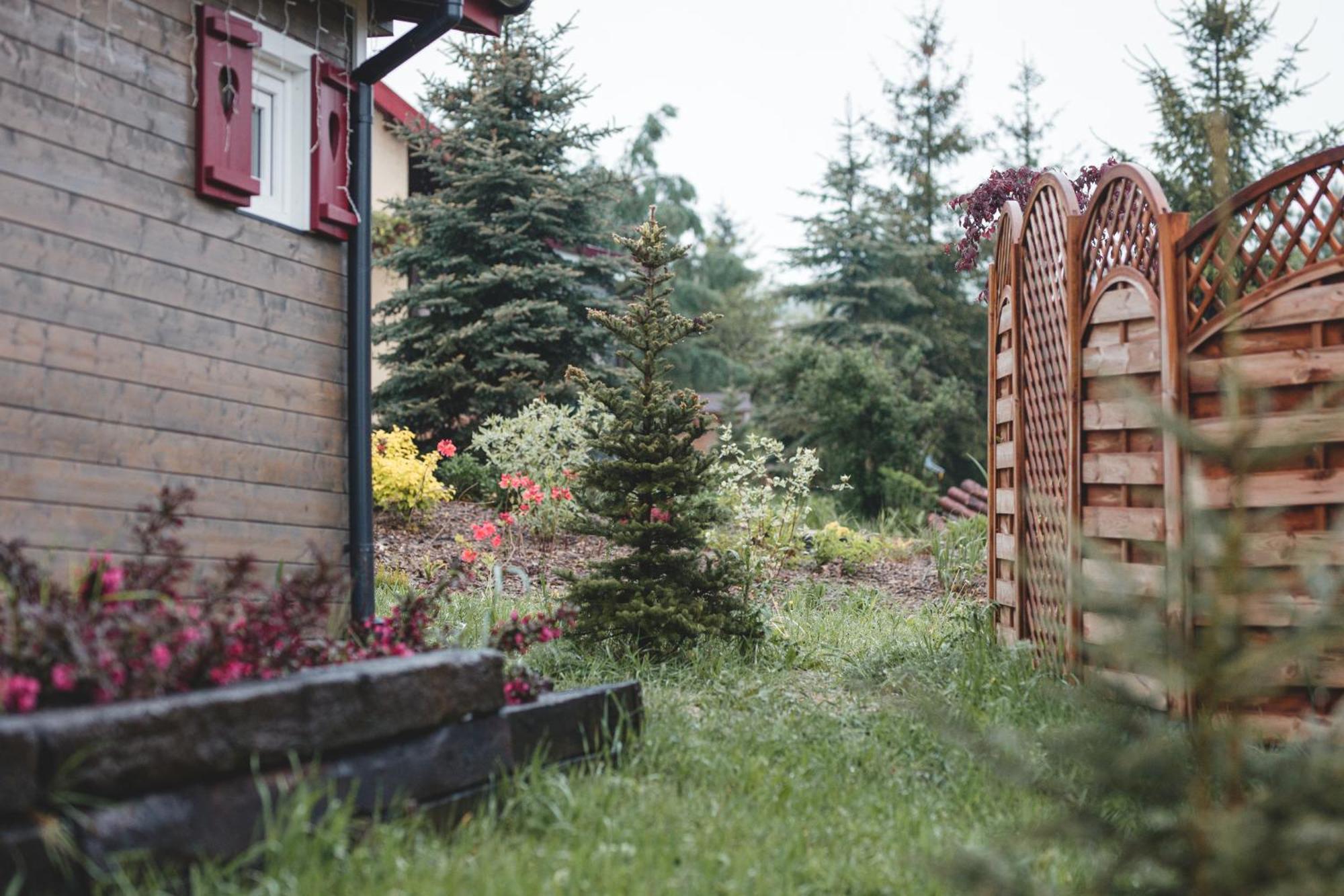 Domki Na Gorniej Lace - Domek Slowik Lazany Экстерьер фото