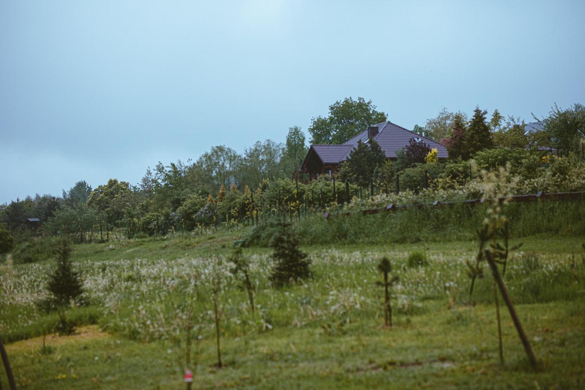 Domki Na Gorniej Lace - Domek Slowik Lazany Экстерьер фото